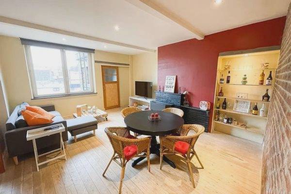 Bel appartement une chambre situé au début du quartier St Léonard